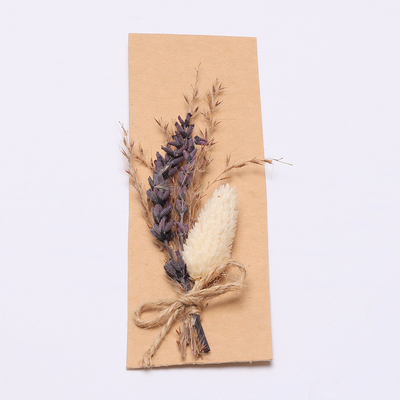 Cỏ khô tự nhiên đầy màu sắc Pampas 43 * 15cm cho bộ quà tặng