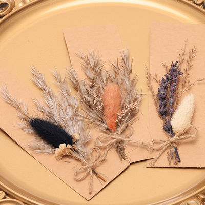 Túi Opp Pampas Cỏ khô tự nhiên Potpourri 43 * 15cm