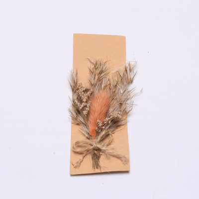 Cỏ khô tự nhiên đầy màu sắc Pampas 43 * 15cm cho bộ quà tặng