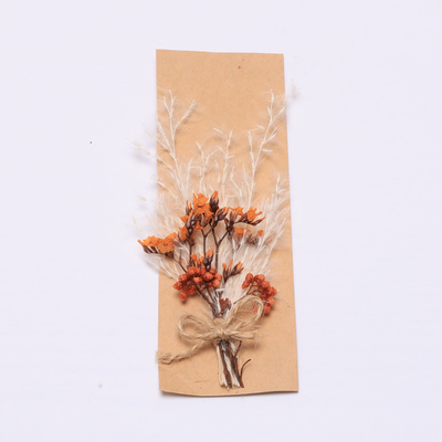 Cỏ khô tự nhiên đầy màu sắc Pampas 43 * 15cm cho bộ quà tặng
