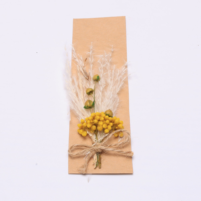 Sắp xếp cỏ đầy màu sắc Pampas Nhân tạo 43 * 15cm