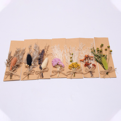Sắp xếp cỏ đầy màu sắc Pampas Nhân tạo 43 * 15cm