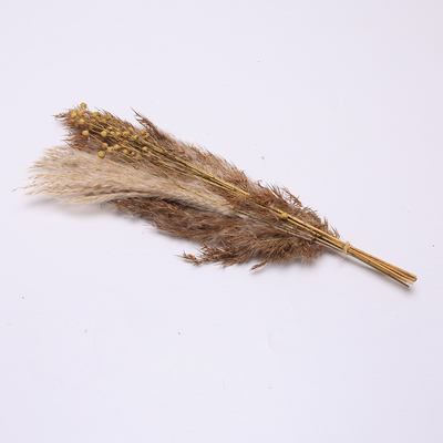Chiều dài sắp xếp cỏ nhân tạo Pampas 35cm