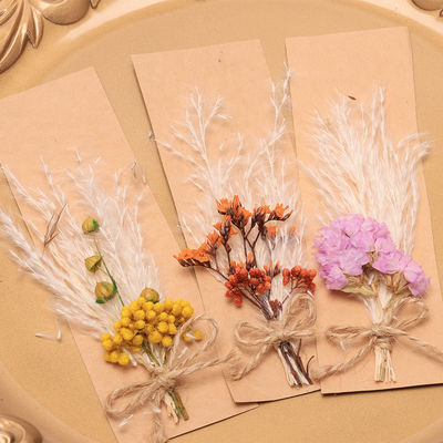 Túi Opp Pampas Cỏ khô tự nhiên Potpourri 43 * 15cm
