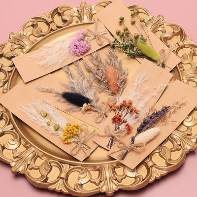 Túi Opp Pampas Cỏ khô tự nhiên Potpourri 43 * 15cm