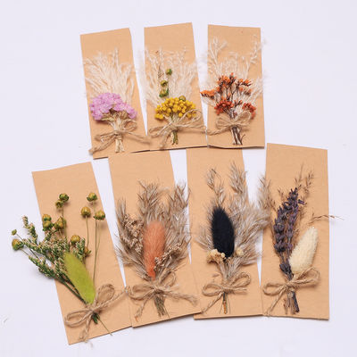 Túi Opp Pampas Cỏ khô tự nhiên Potpourri 43 * 15cm