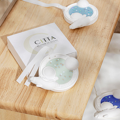 Không gian phi hành gia Thỏ Mặt trăng Custom hoa thơm Soya Wax Tablet