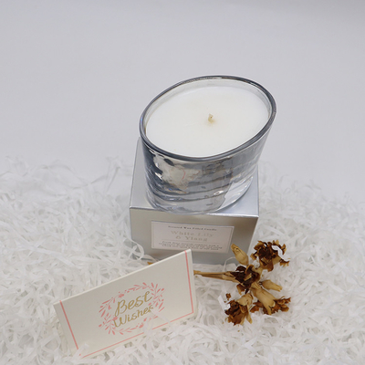 Aroma Home Nhãn hiệu riêng sang trọng Sliver Nến sáp đậu nành thơm
